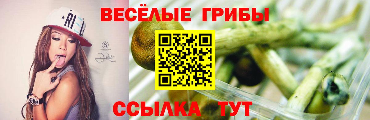 Анжеро-Судженск  Псилоцибиновые грибы Psilocybe  Вход с VPN  Галлюциногенные грибы мухоморы 